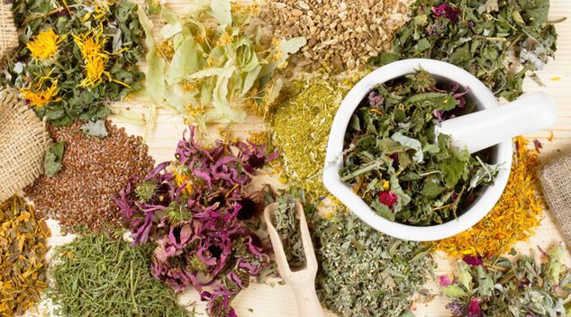 Ārstniecības augi, kas palīdz cīņā pret diabētu